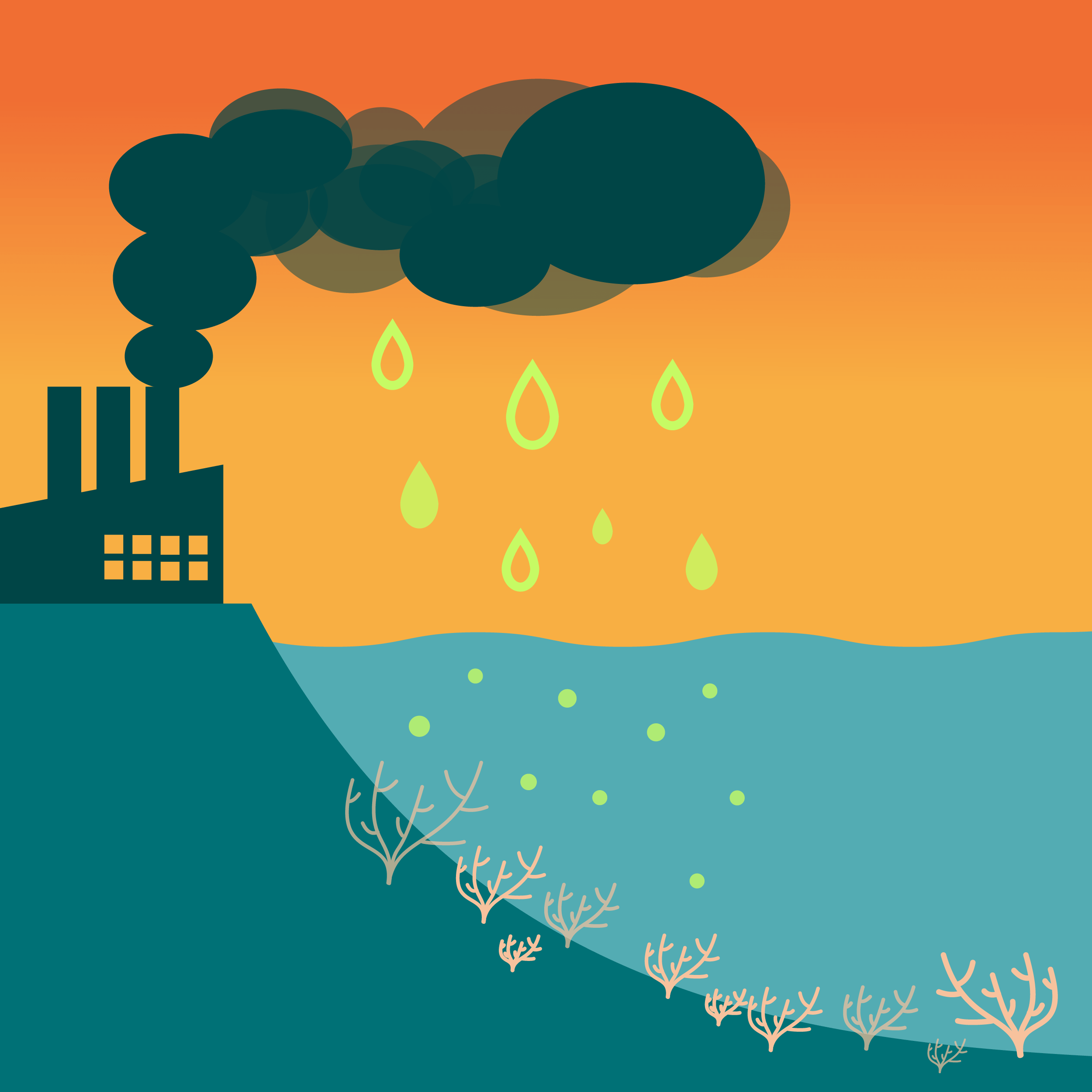 Understanding Ocean Acidification