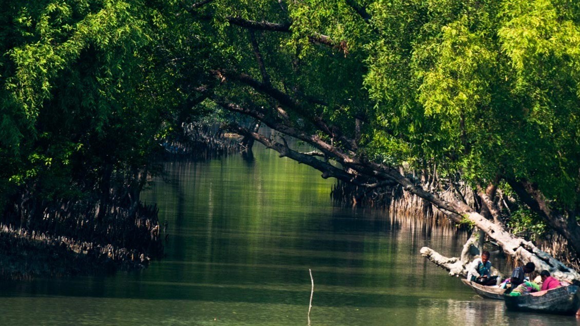 Sundarbans National Park