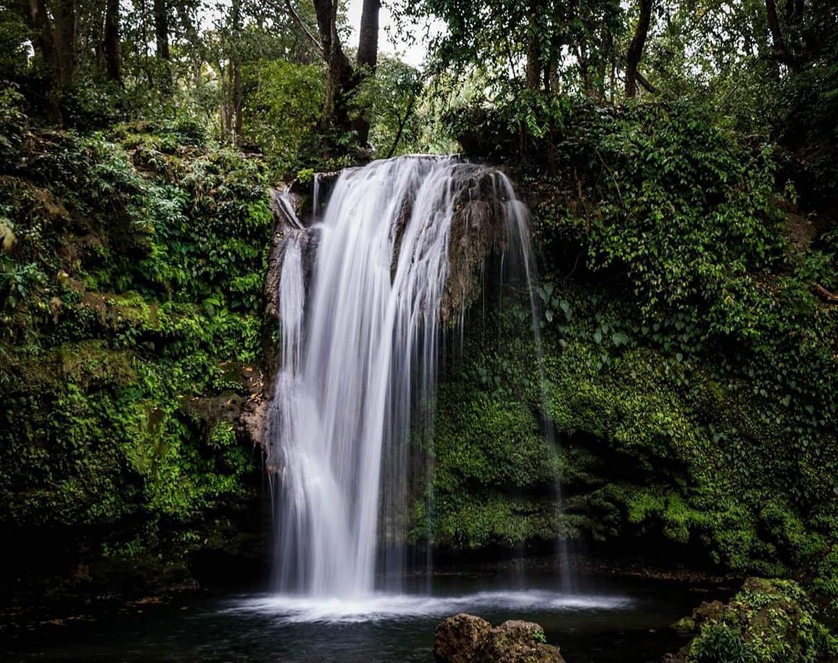 Kaziranga National Park