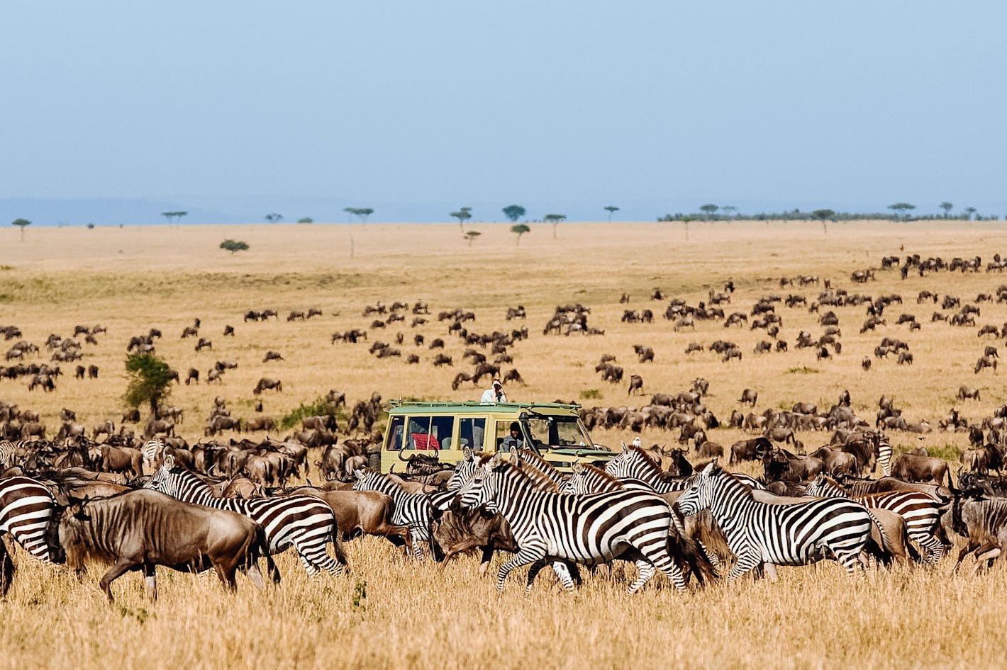 Serengeti National Park