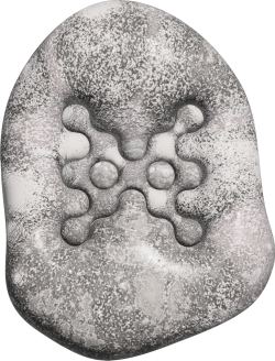 Fossil with habita nodriza logomark
