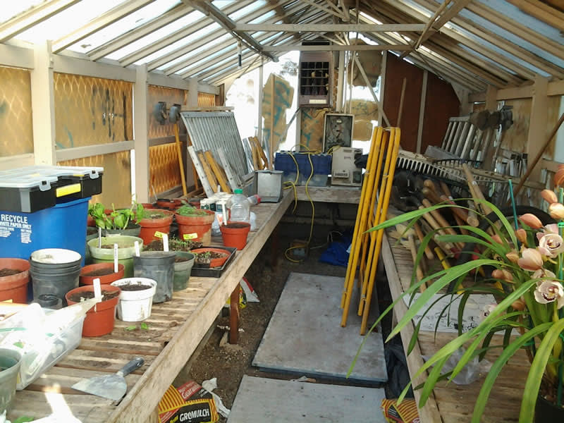 gallery image 19