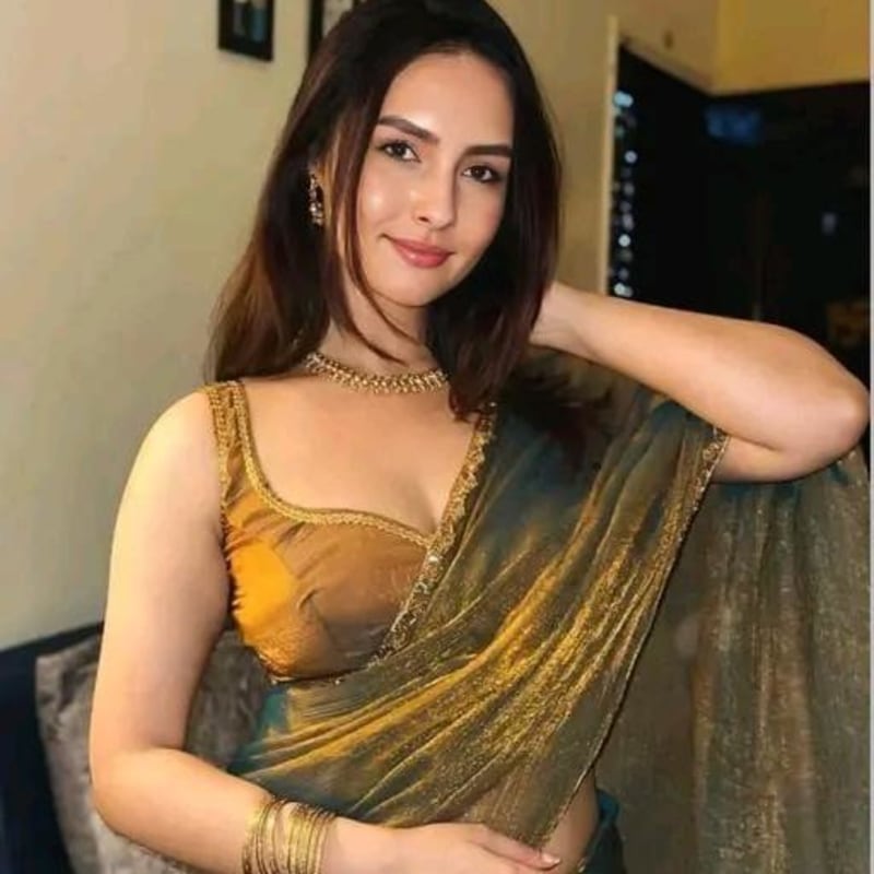 Aagyeyi Fabulous Sarees