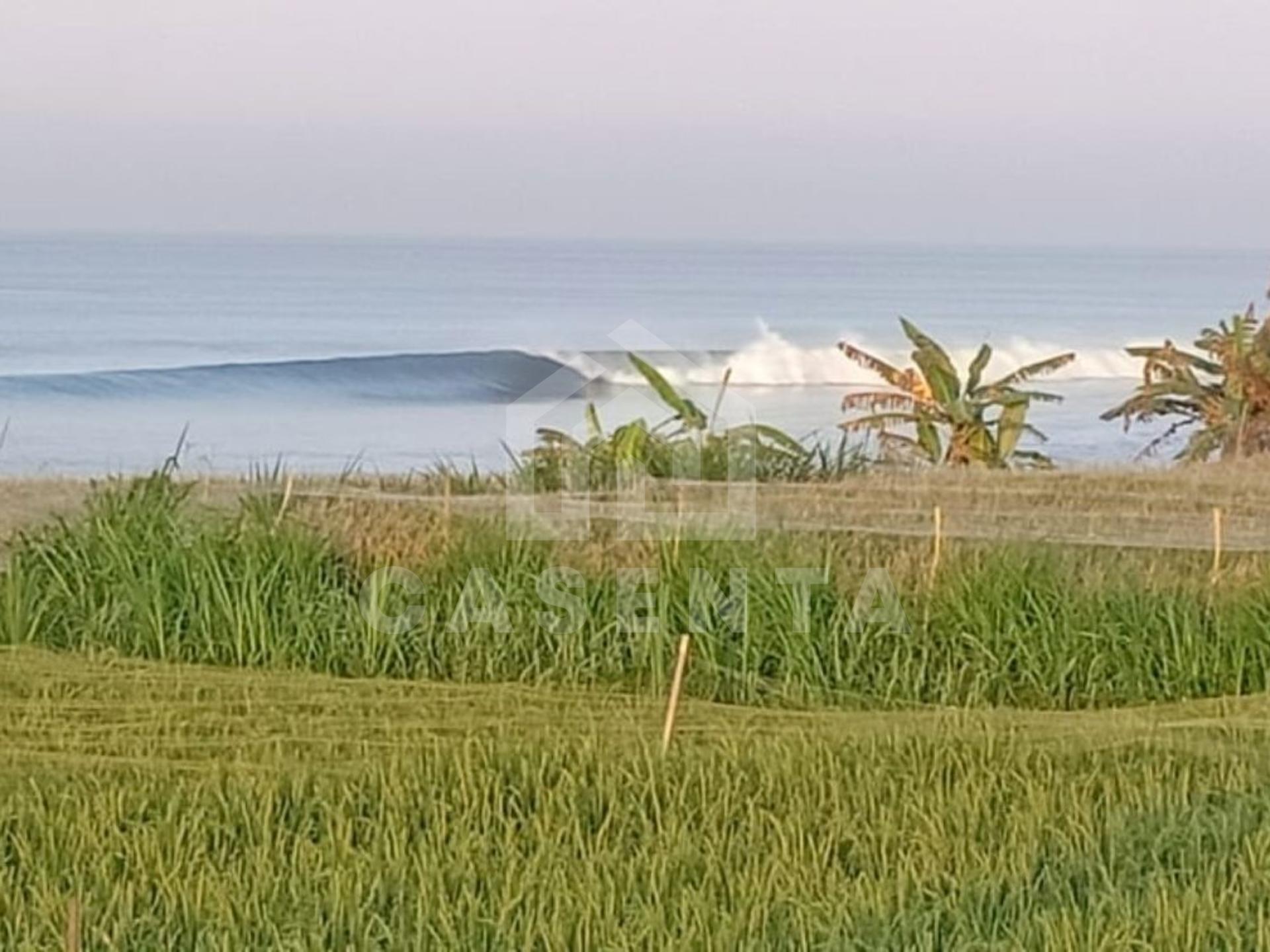 Spacious 9,700m2 Beachfront Land in Klotok, Klungkung