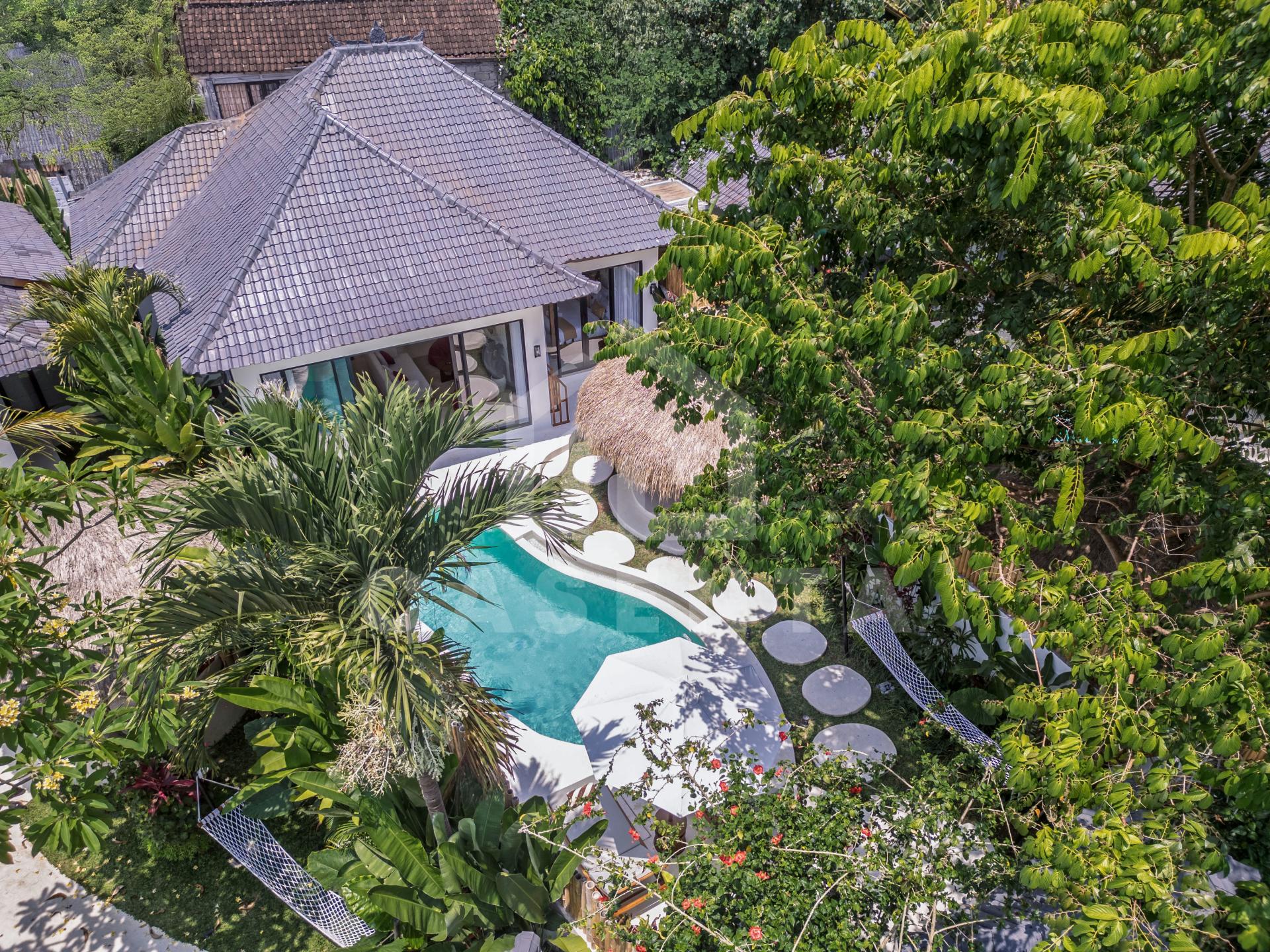  Aerial view of tropical villa for sale in Sayan Ubud with private pool