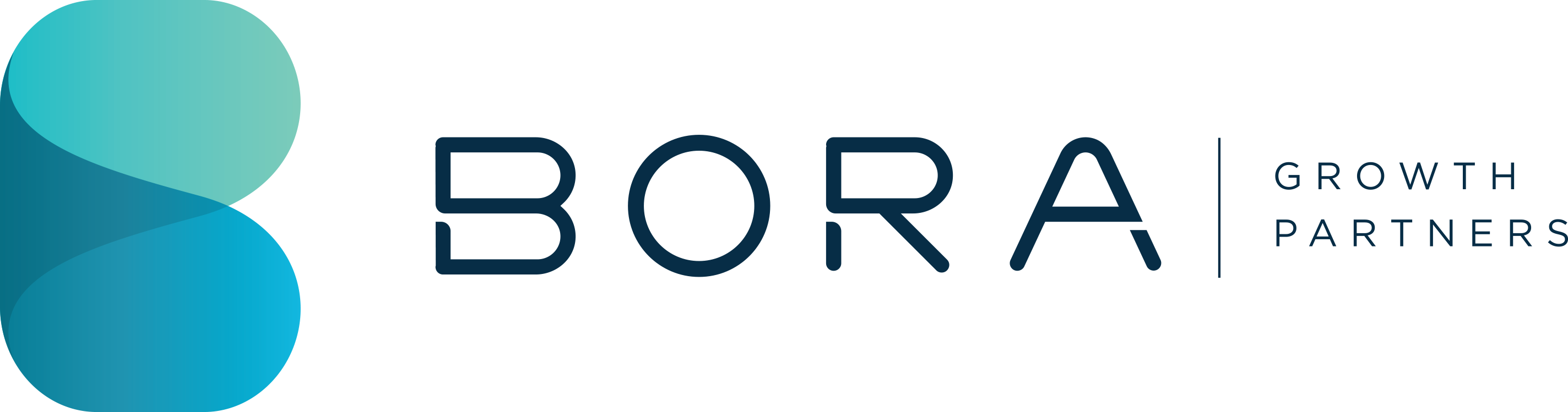 Bora Growth Partners