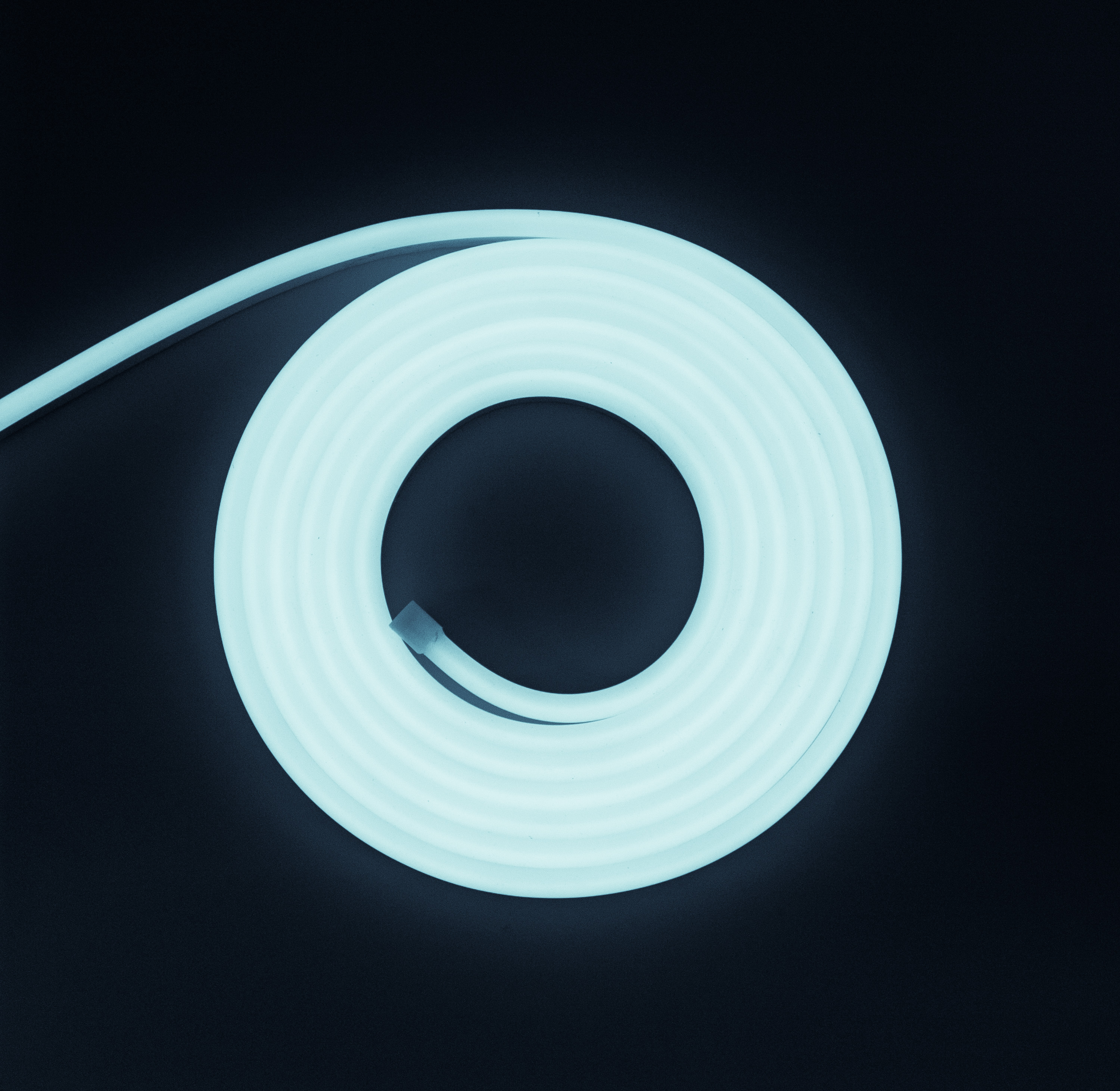 Cold Neon Series