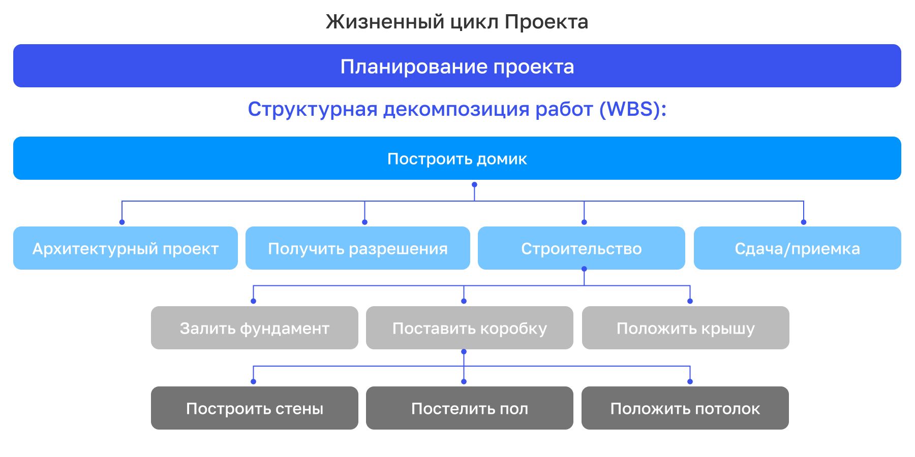 инфографика.jpg