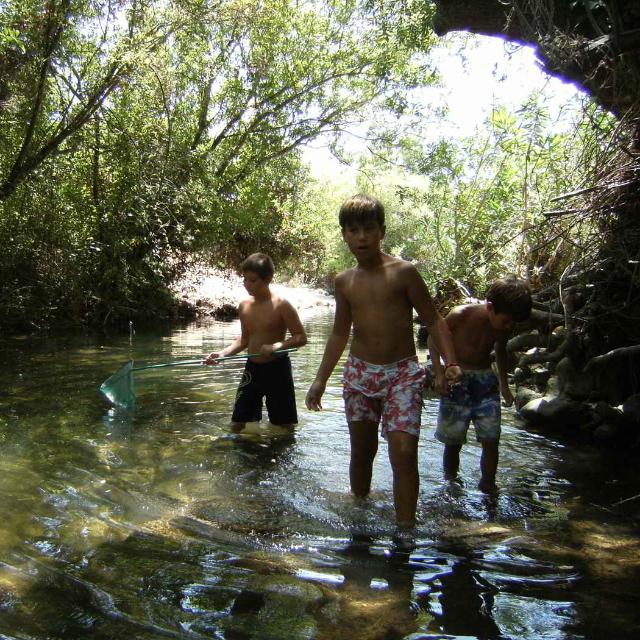 Campamento familiar