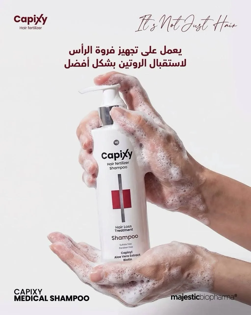 شامبو كابكسي