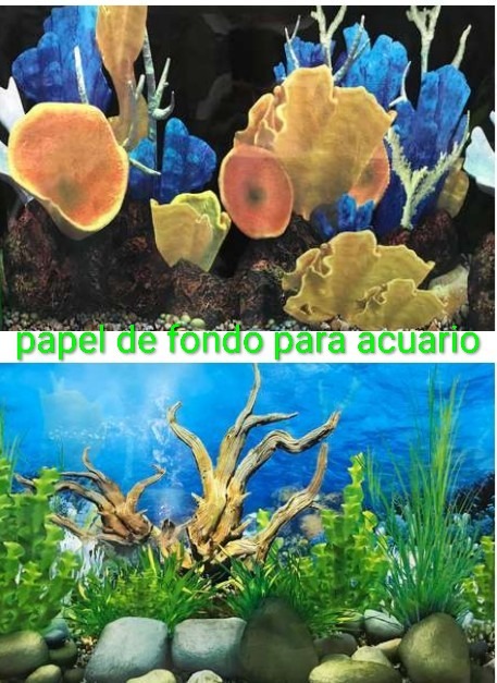 PAPEL DE FONDO PARA ACUARIOS DIFERENTES MOTIVOS X 10 CENTIMETROS