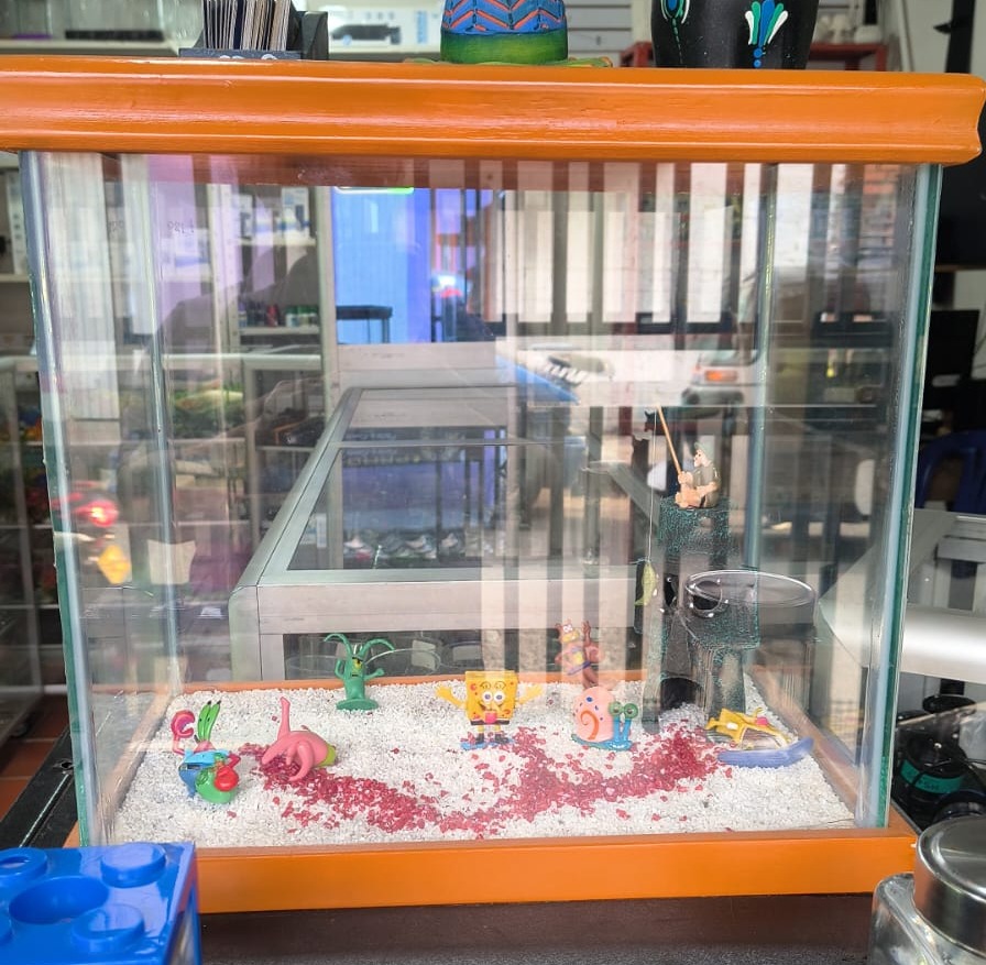 ACUARIO EN VIDRIO RECTANGULAR PEQUEÑO CON BASE Y TAPA EN MADERA COLORES SURTIDOS