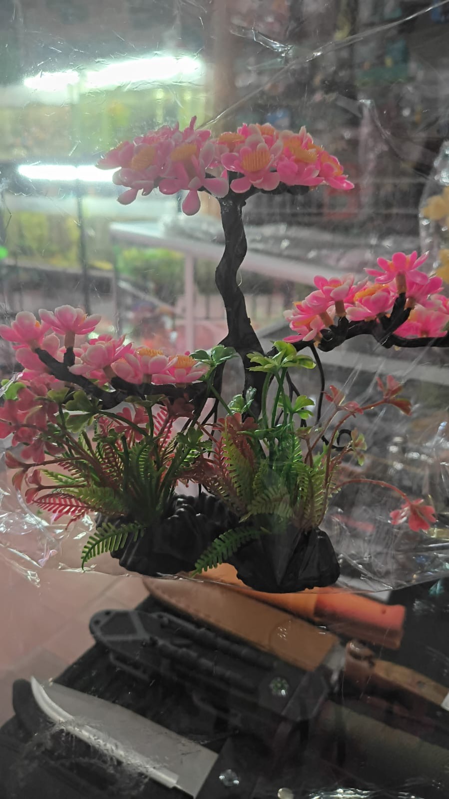 PLANTA FLOR DE CIRUELO