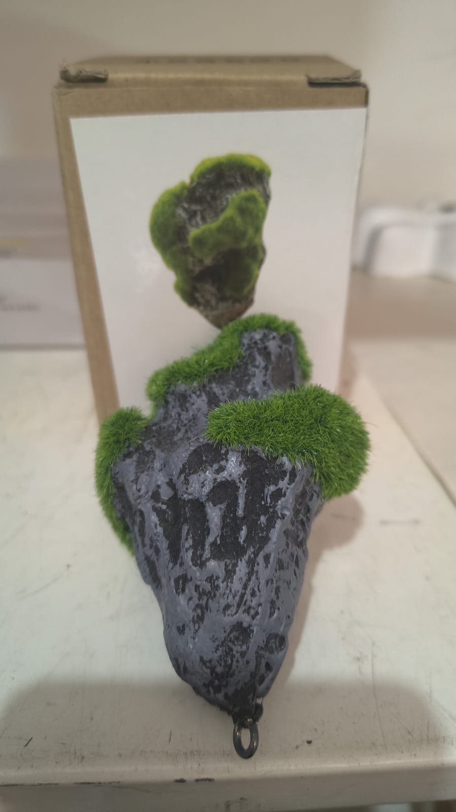 PIEDRA MUZGO FLOTANTE