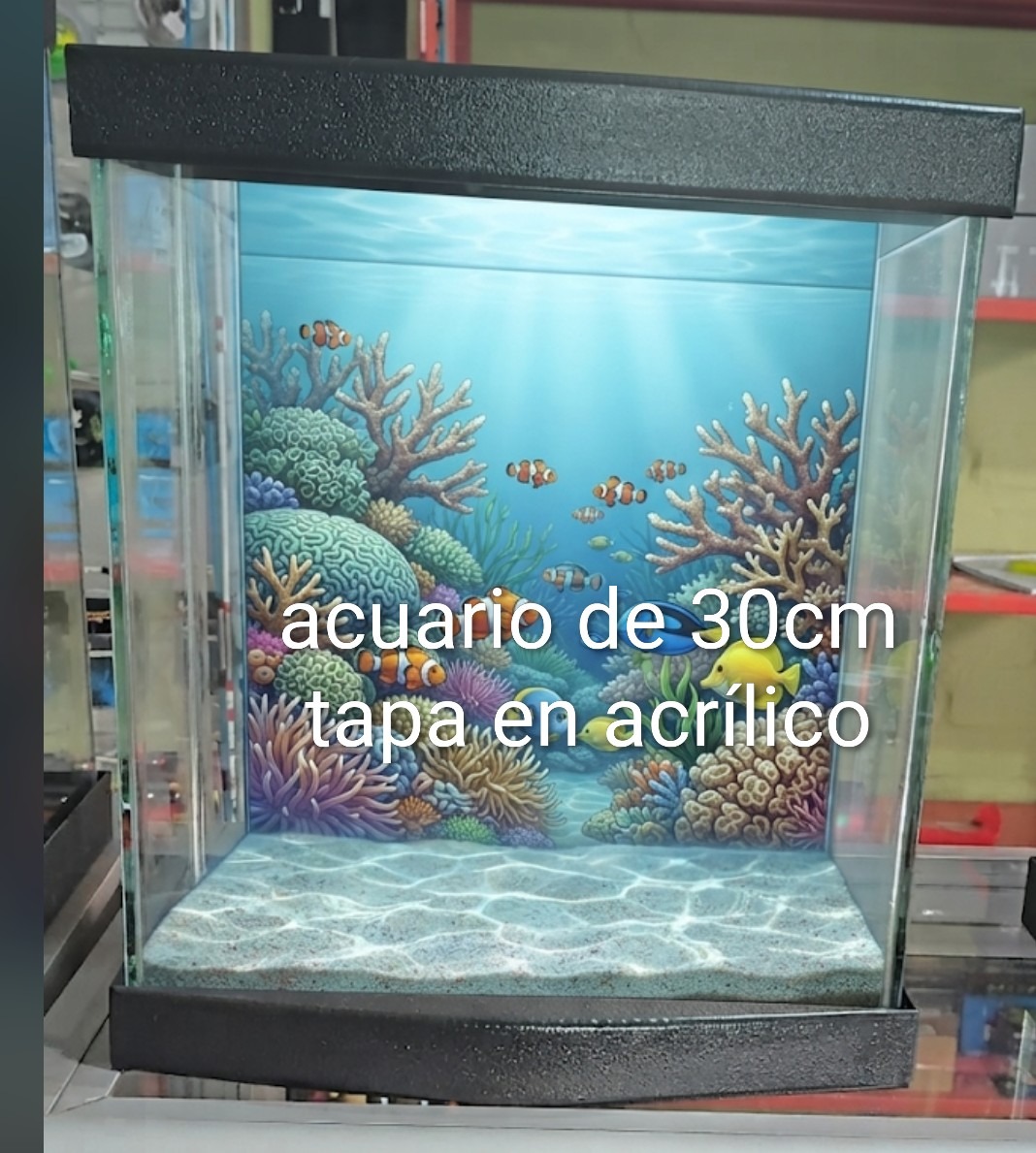 ACUARIO PEQUEÑO TAPA ACRILICO