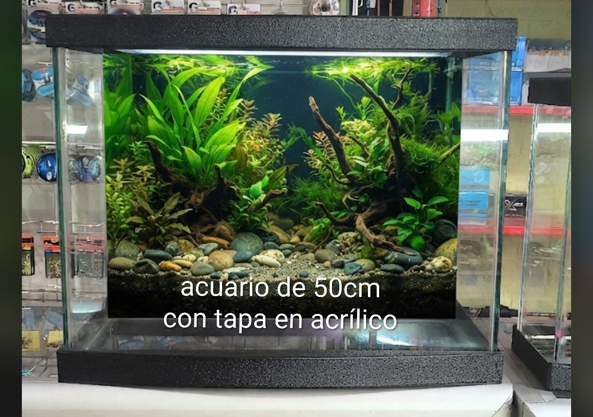 ACUARIO GRANDE TAPA EN ACRILICO