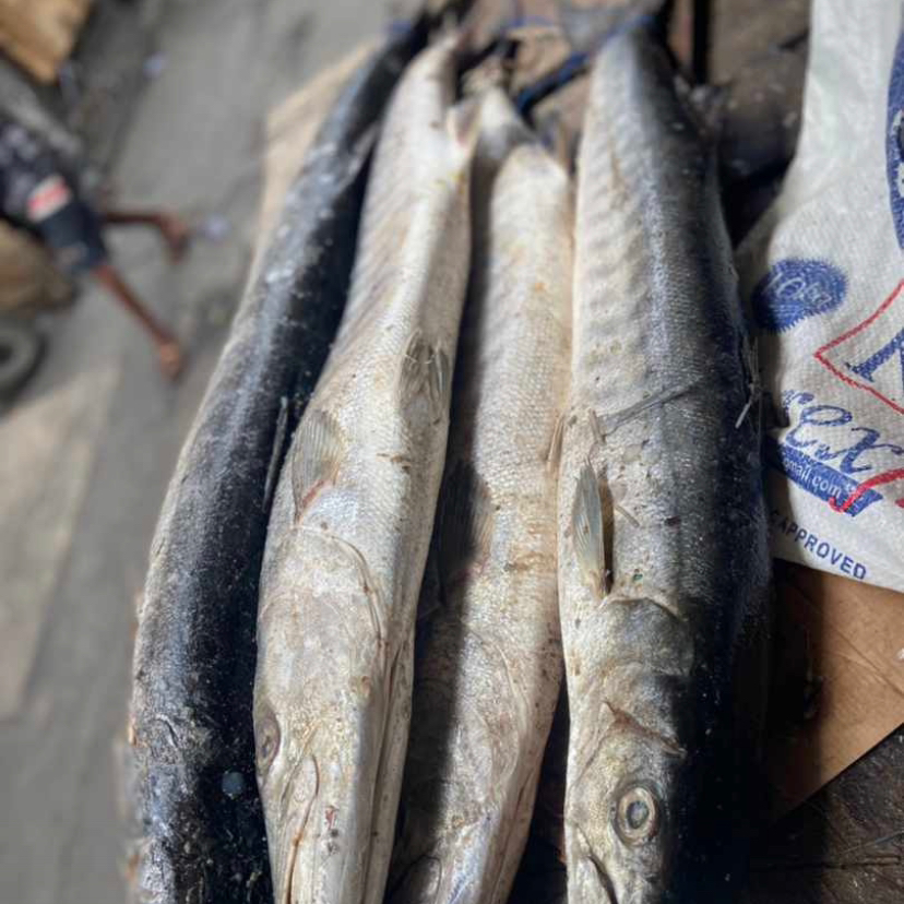 Bismillahi Frozen foods