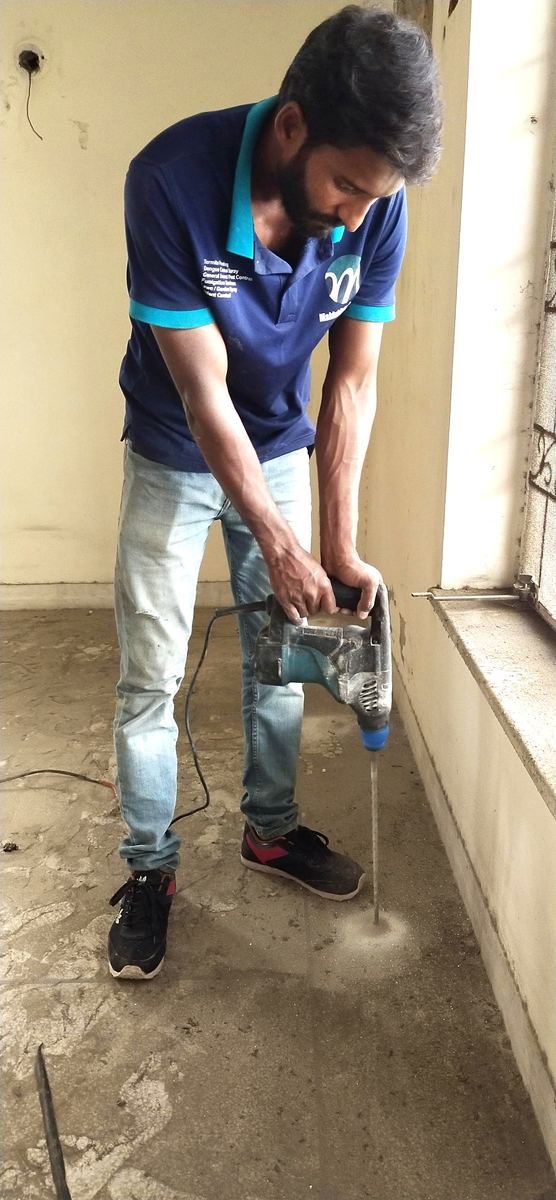 Termite Control (Deemak Control)
