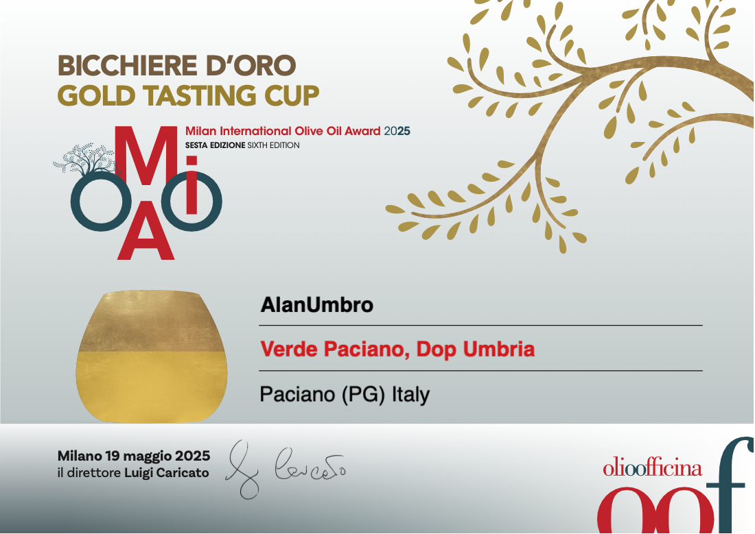 MIOOA 2025 Gold Glass Certificate - VerdePaciano