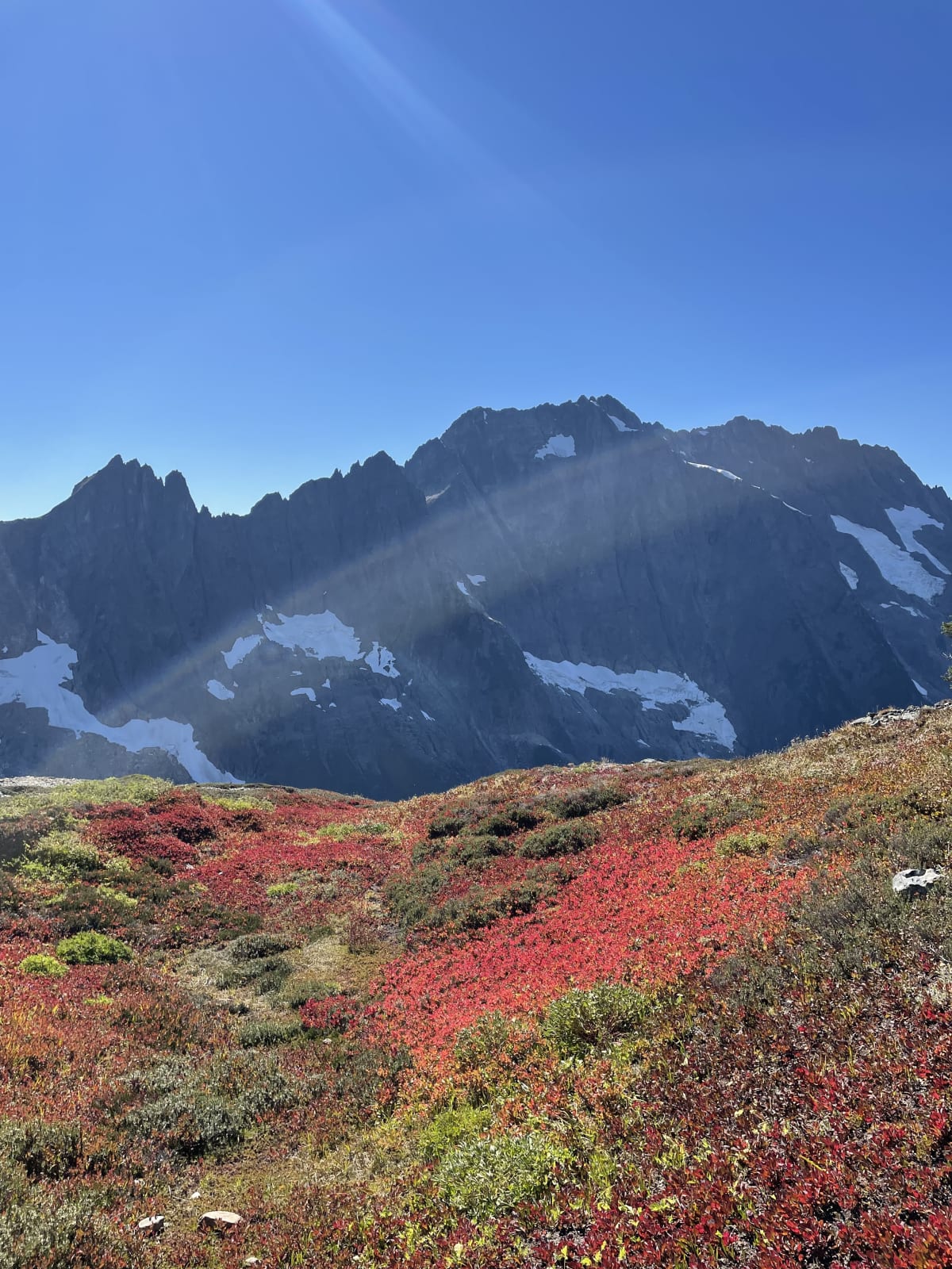 Alpine flora and glacial melt above tree line with steep rock formations