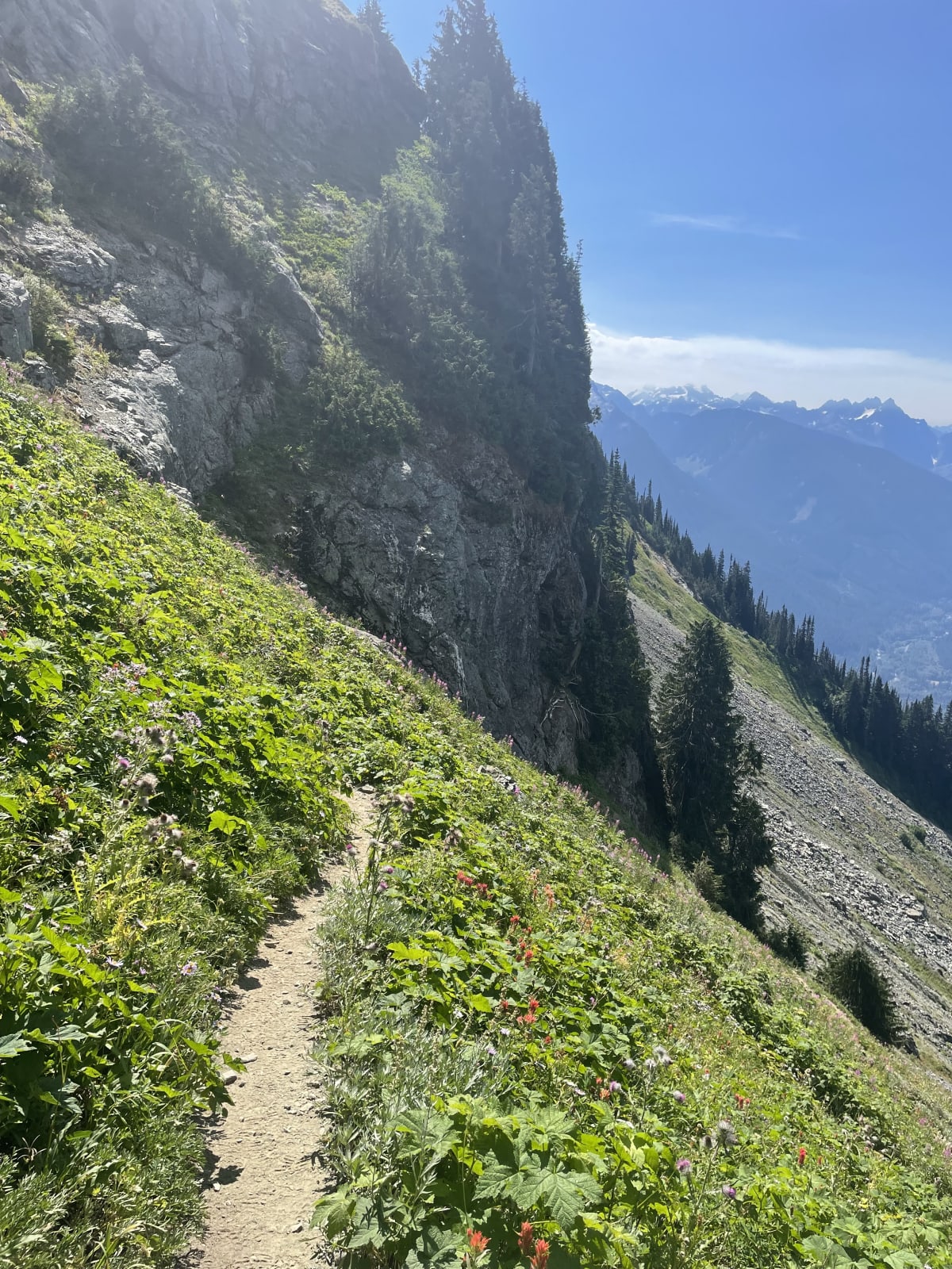 Summer alpine meadow with wildflowers and mountain peaks in the background