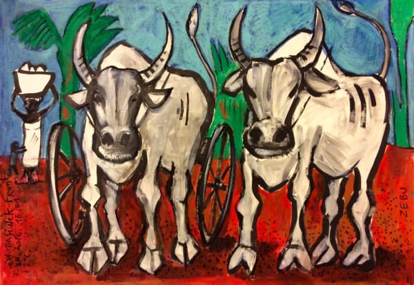 Zebu From Madagascar