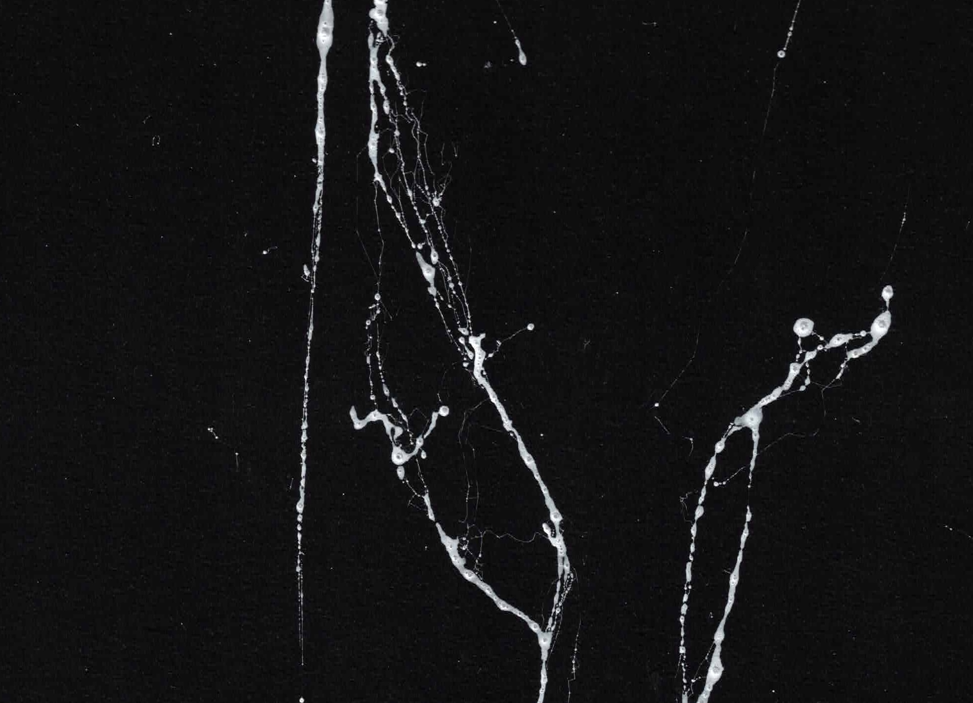 Ink splashes texture