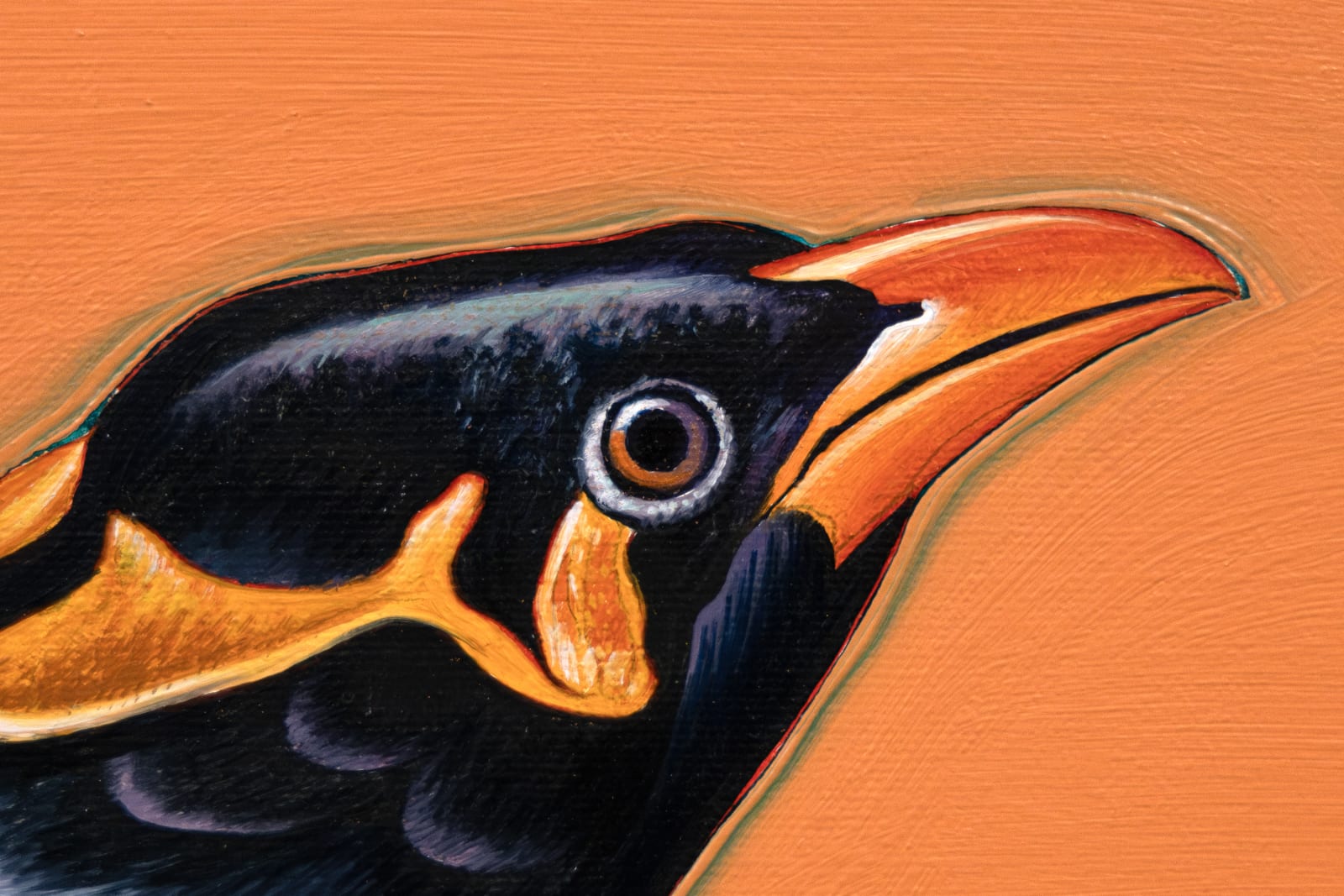 Leta and the Hill Myna detail 1