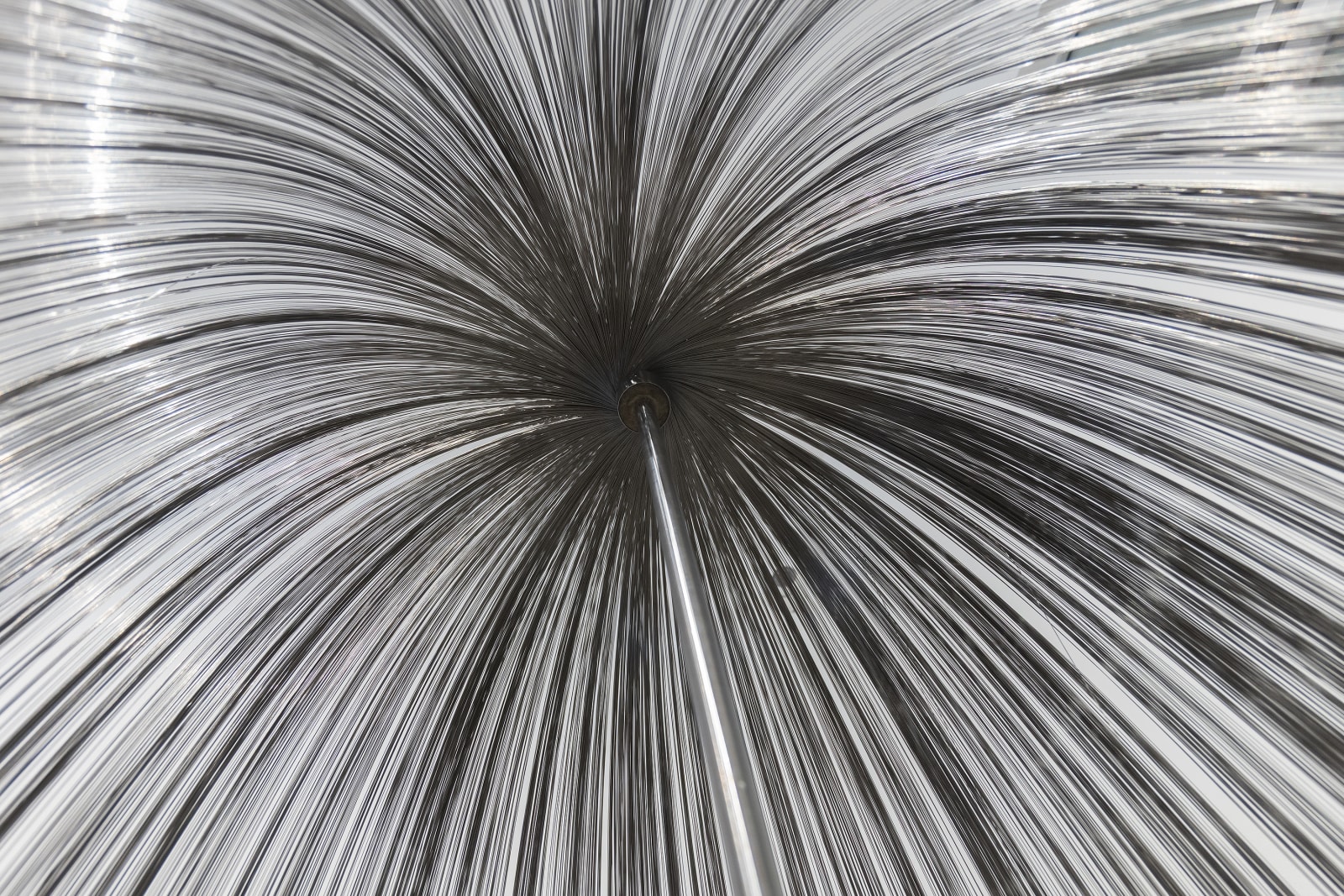 Willow Sculpture unframed
