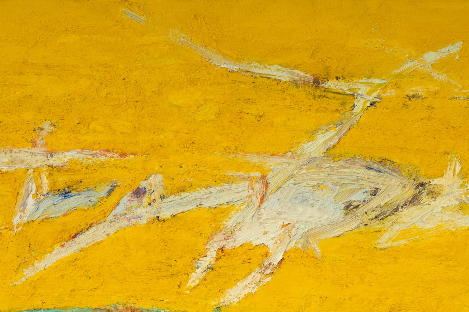 Ocean Park detail 2