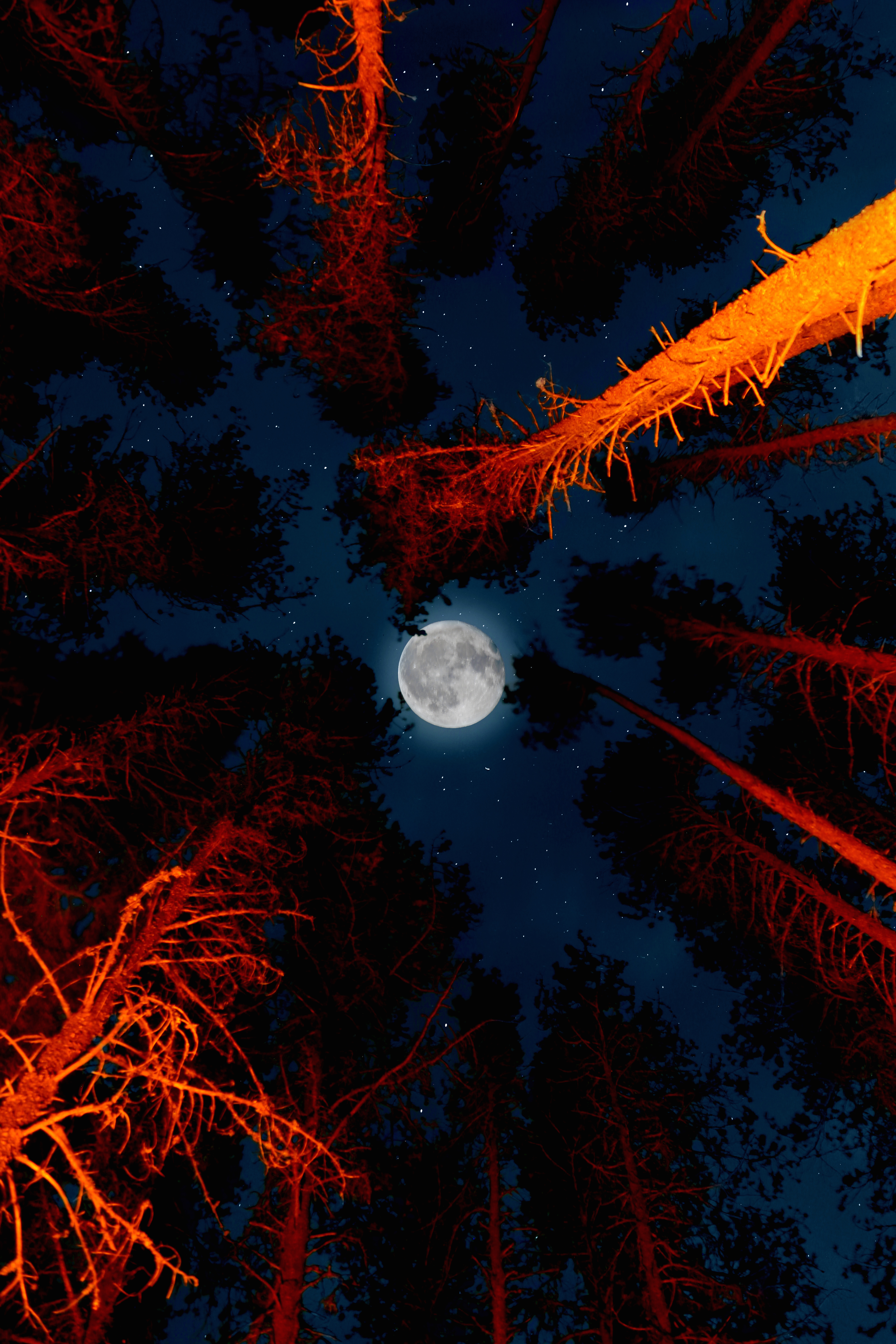 Nuit rouge