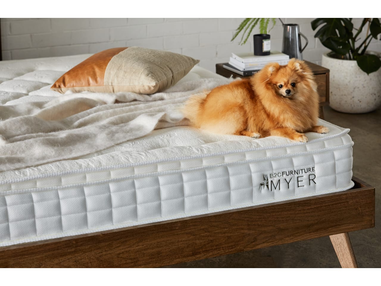 Myer Queen Size Mattress | Pocket Springs | Pillow Top