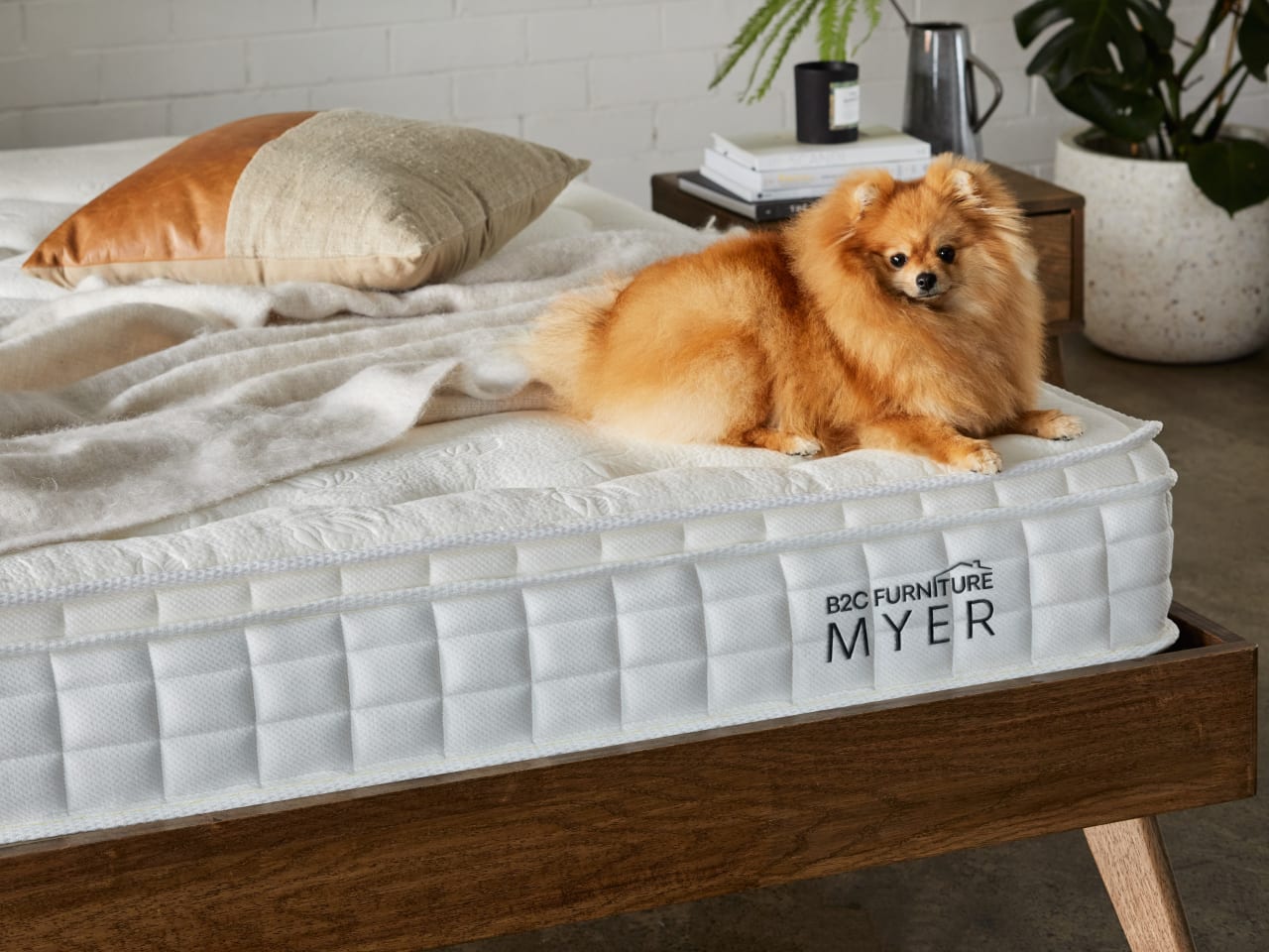Myer Queen Size Mattress | Pocket Springs | Pillow Top
