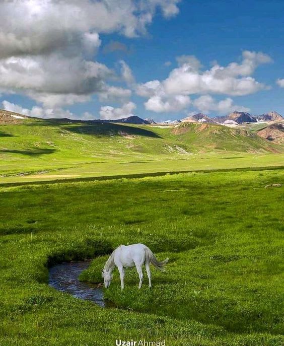 Deosai National Park