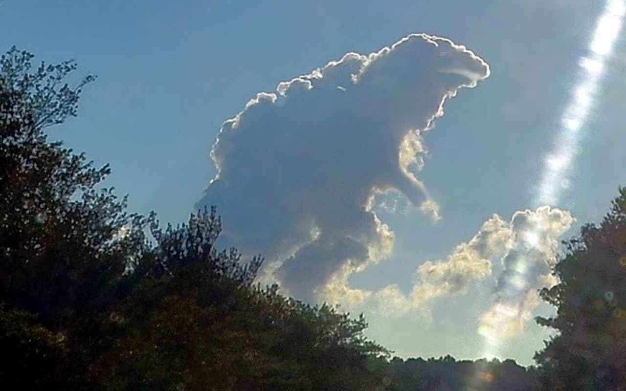 Mensaje navideño de Su Majestad Cubitorah