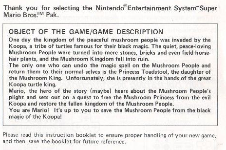 Mario, the hero of the story (maybe).