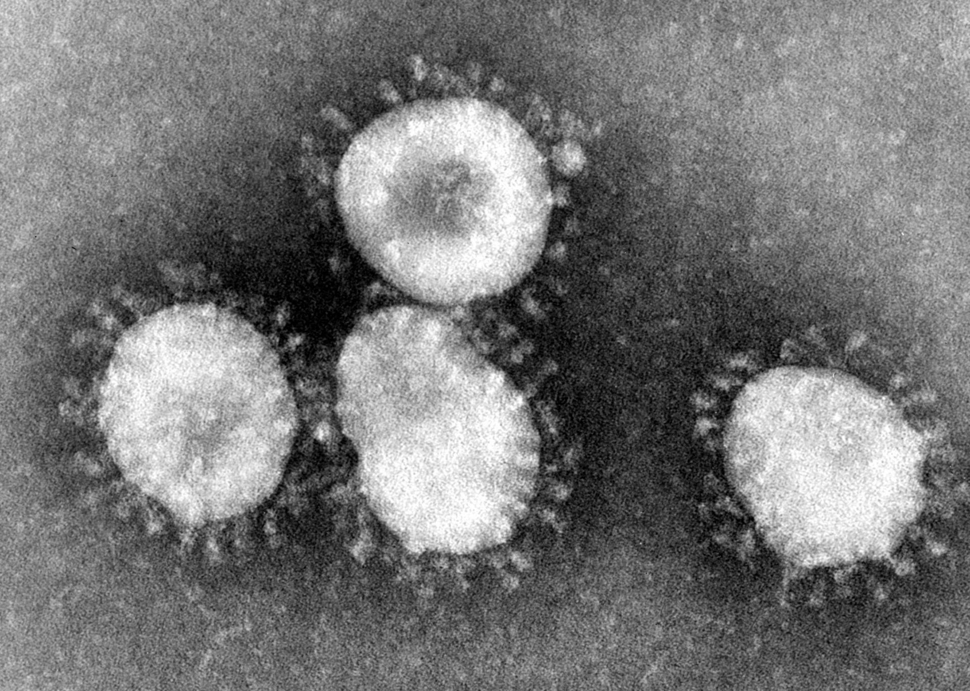 Chismorreos: el coronavirus