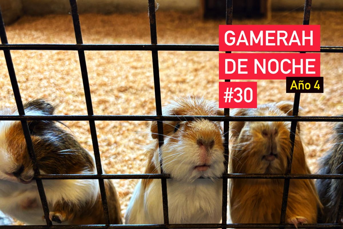 Gamerah de noche A4 #30: Profecías