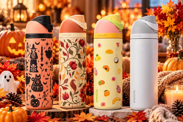 Owala FreeSip Insulated Water Bottle