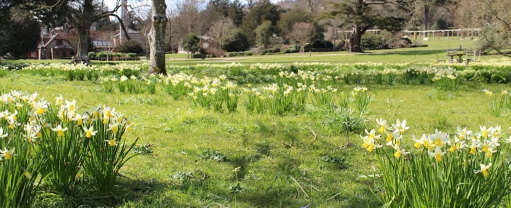 Photo of West Dean Gardens