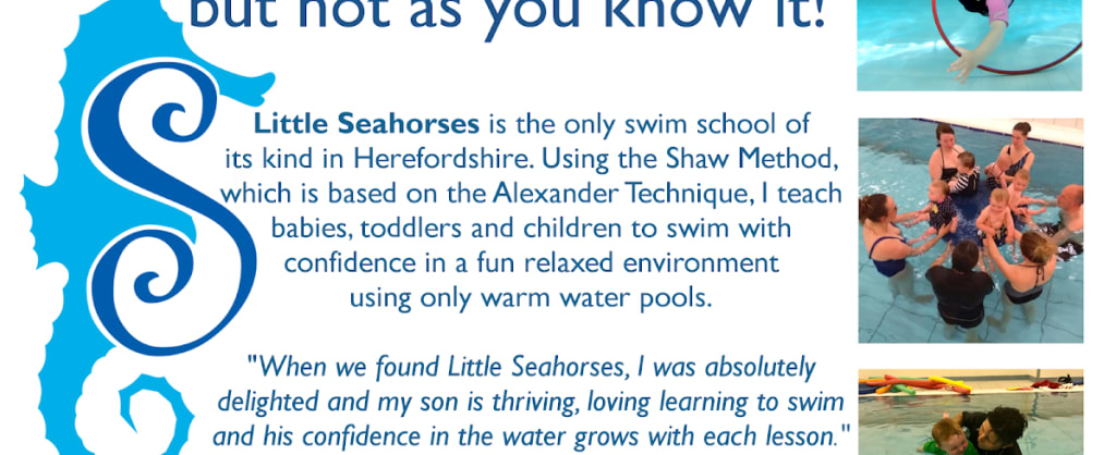 Photo of Little Seahorses Swimming UK
