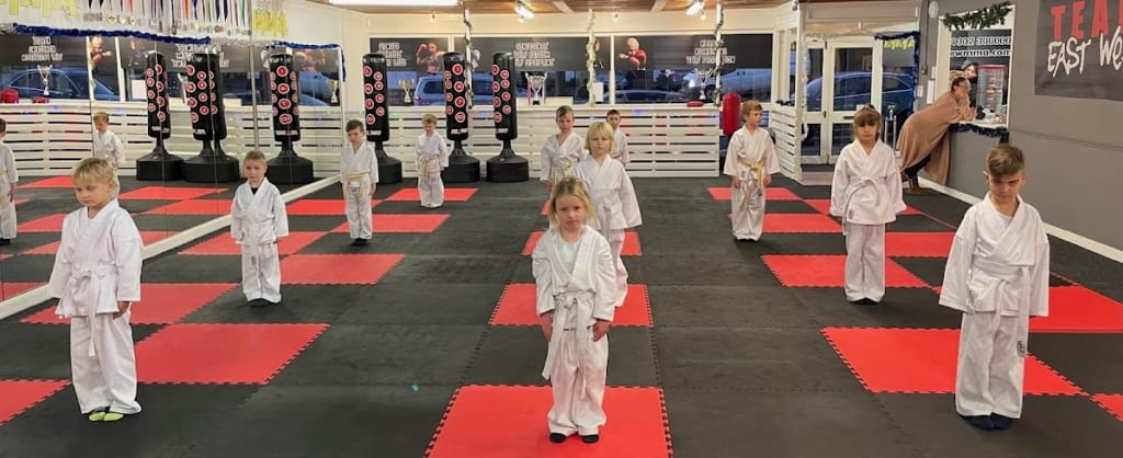 Photo of East West MMA