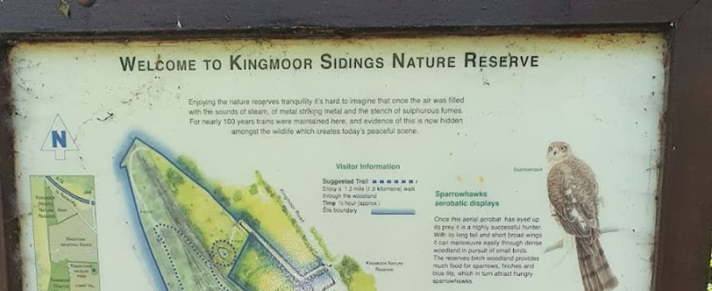 Photo of Kingmoor Nature Reserve