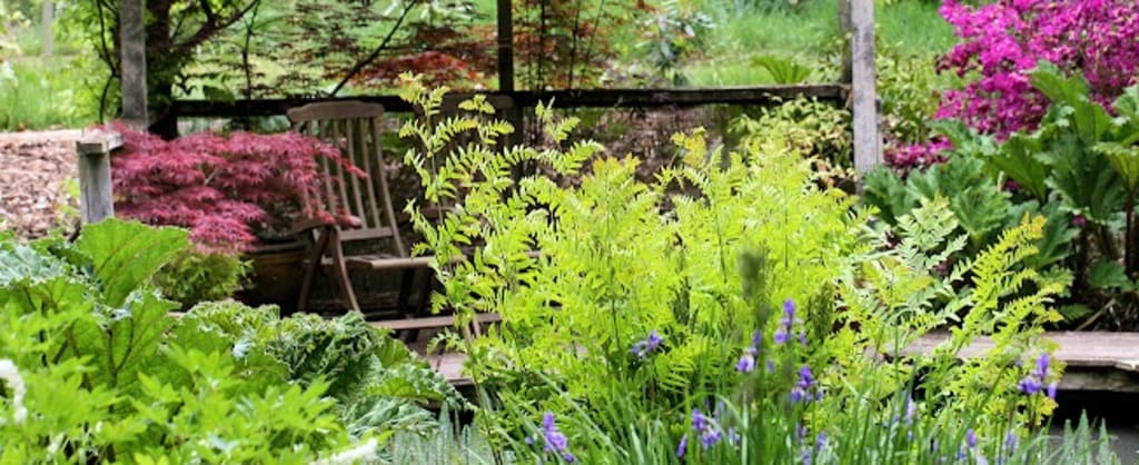Photo of Green Island Gardens