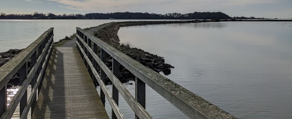 Photo of Cobnor Point