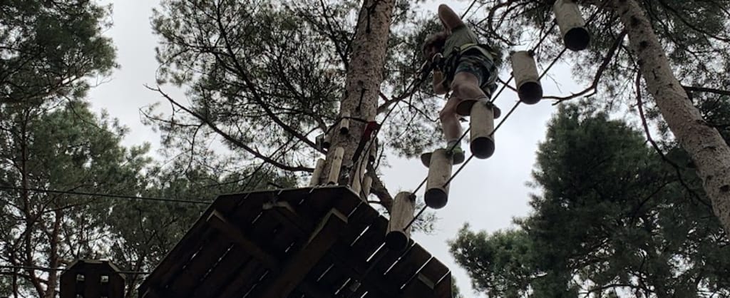 Photo of Go Ape Coventry