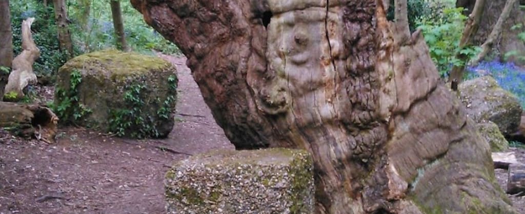 Photo of Lexden Earthworks & Bluebottle Grove
