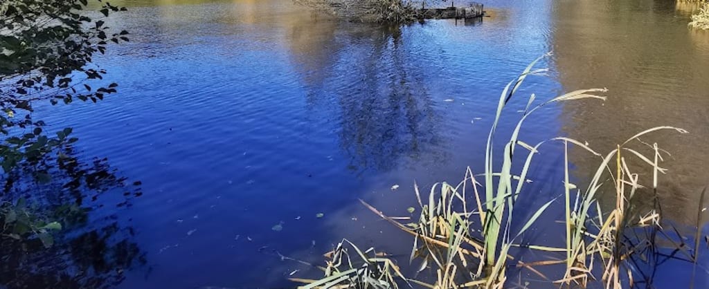 Photo of High Woods Country Park