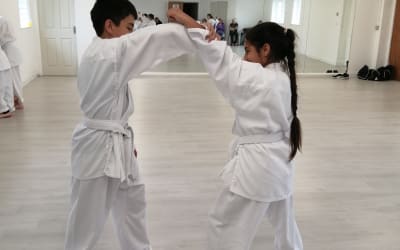 Mokuso Karate Academy