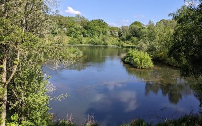 Ryton Pools Country Park